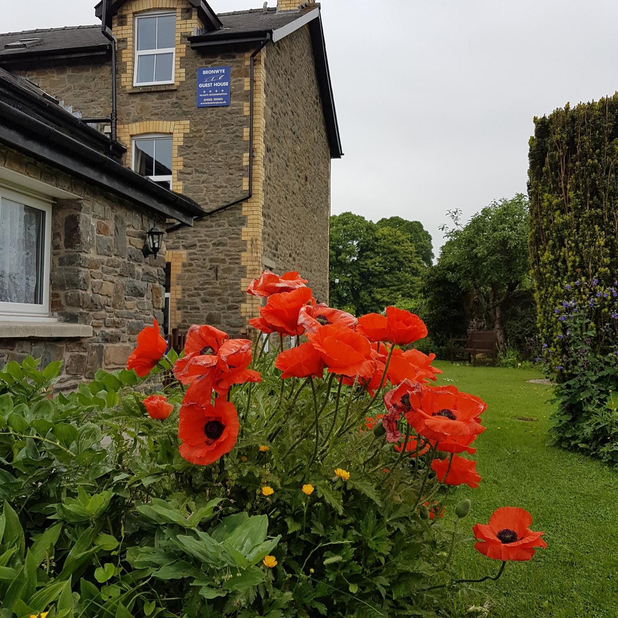 Bronwye Hotel Builth Wells Bagian luar foto